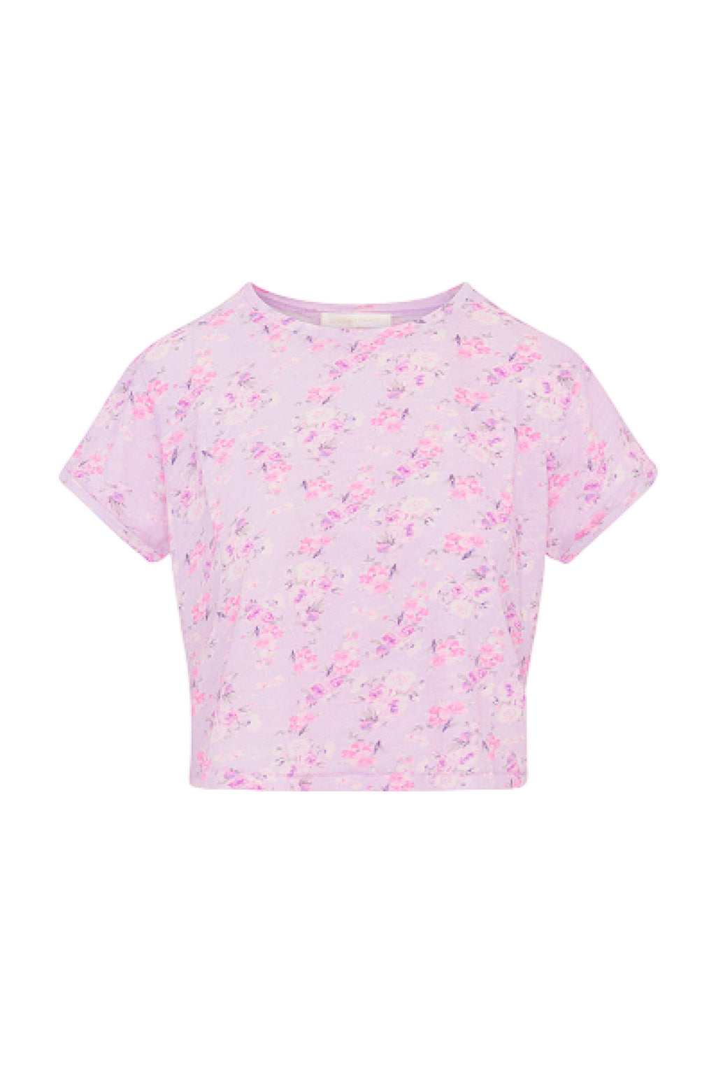 Rubin Cropped Tee