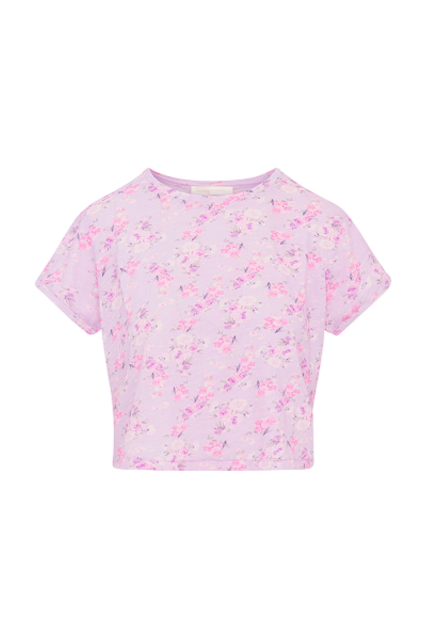 Rubin Cropped Tee